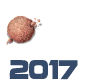 ESPONTÂNEO 2017