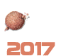 ESPONTANEO 2017